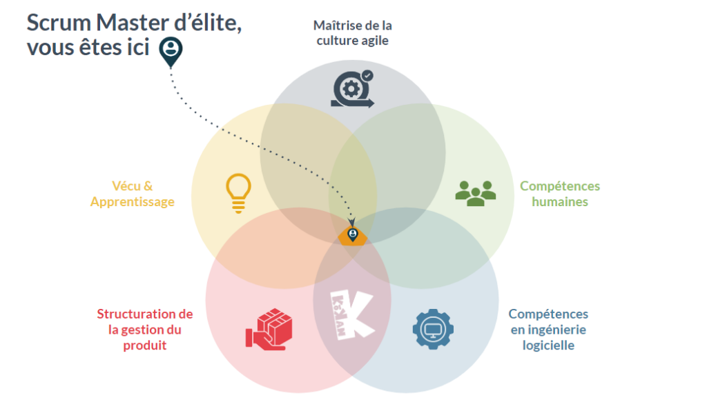 Scrum Master d'élite Compétences